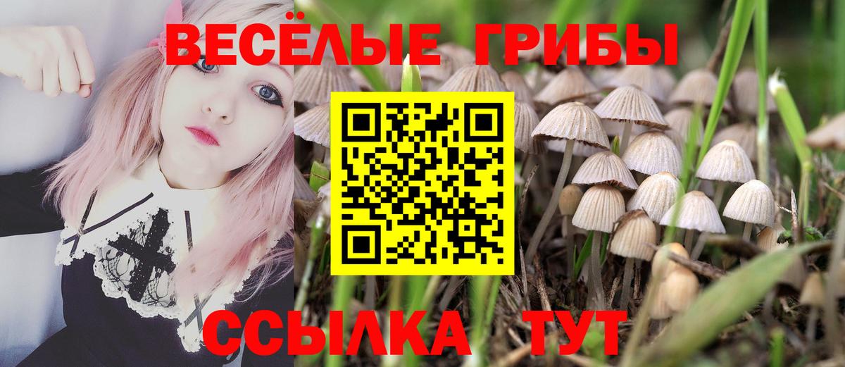 Вышний Волочёк  Псилоцибиновые грибы MAGIC MUSHROOMS  Вход с VPN 