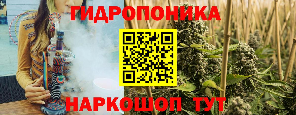 Канабис MAZAR Вышний Волочёк